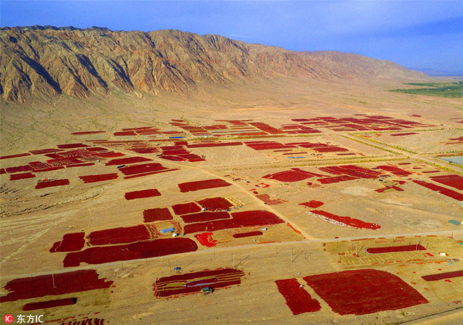 Season of harvest decorates the landscape