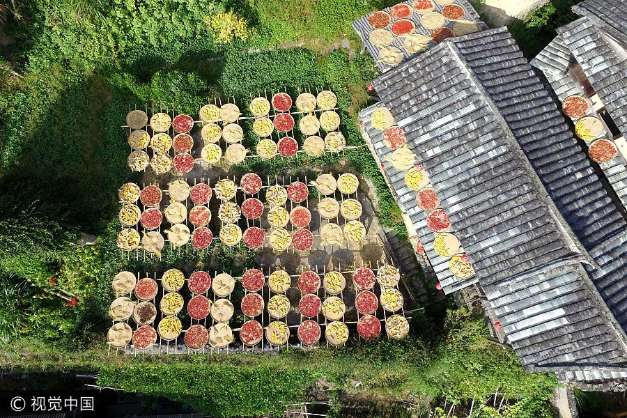 Season of harvest decorates the landscape