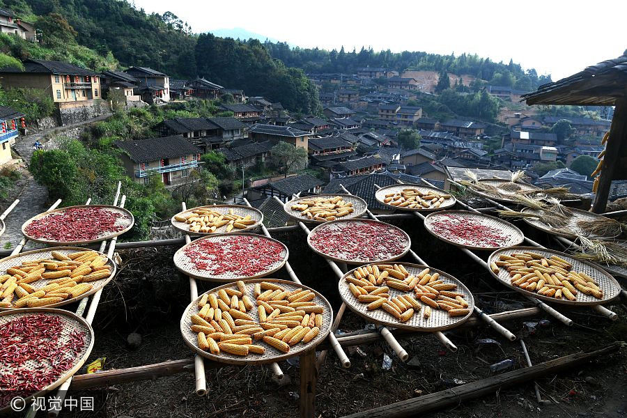 Season of harvest decorates the landscape