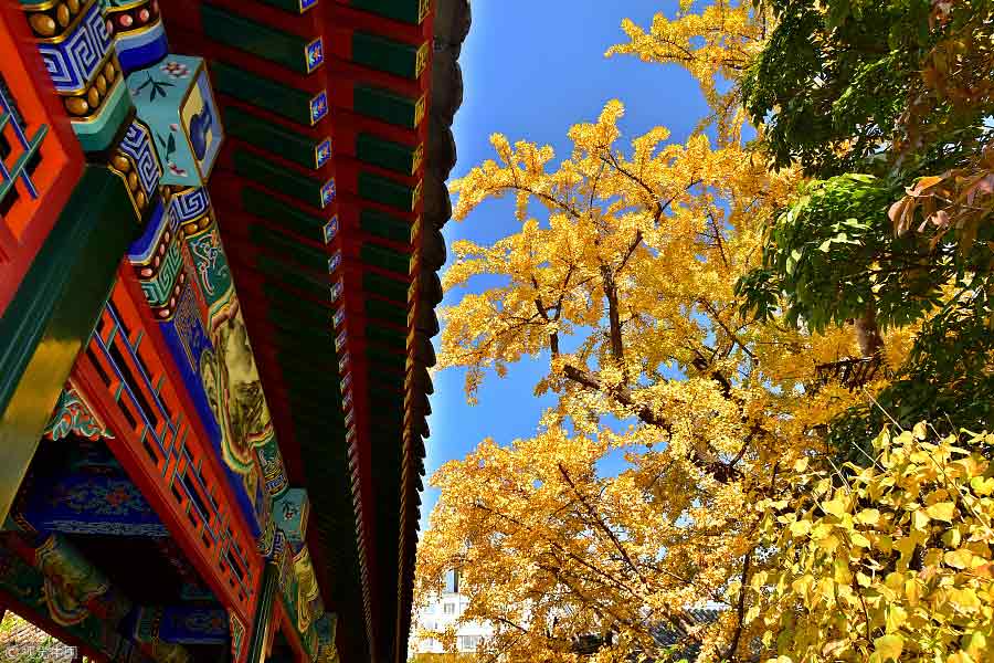 Gorgeous autumn scenery across China