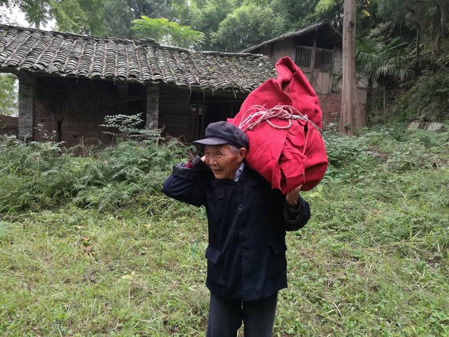 Are Chongqing '<EM>bang bang</EM>' porters a disappearing job?