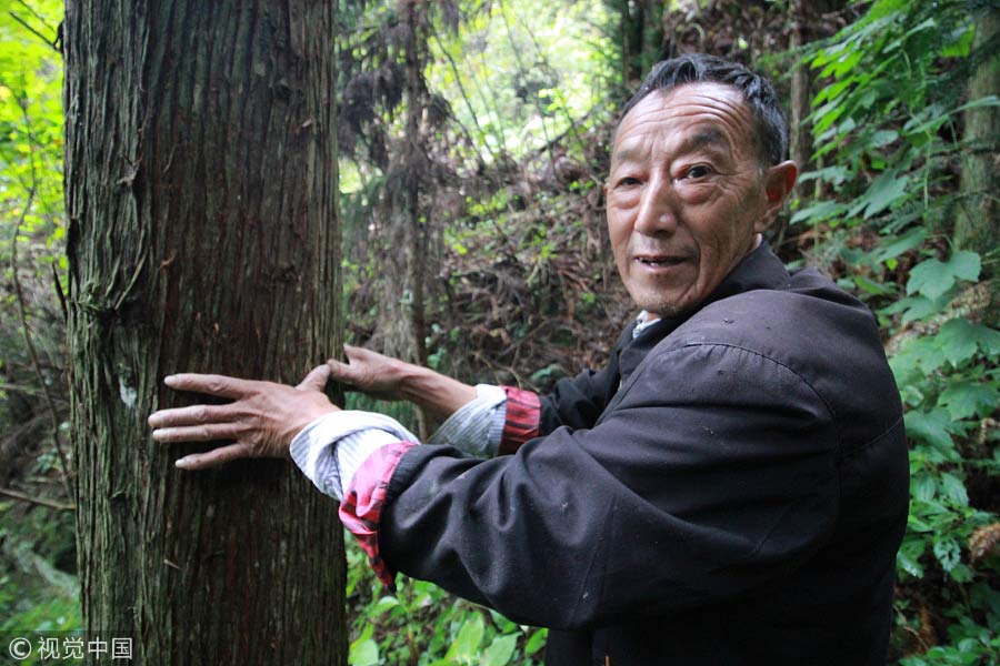 Ranger protects forest for 28 years