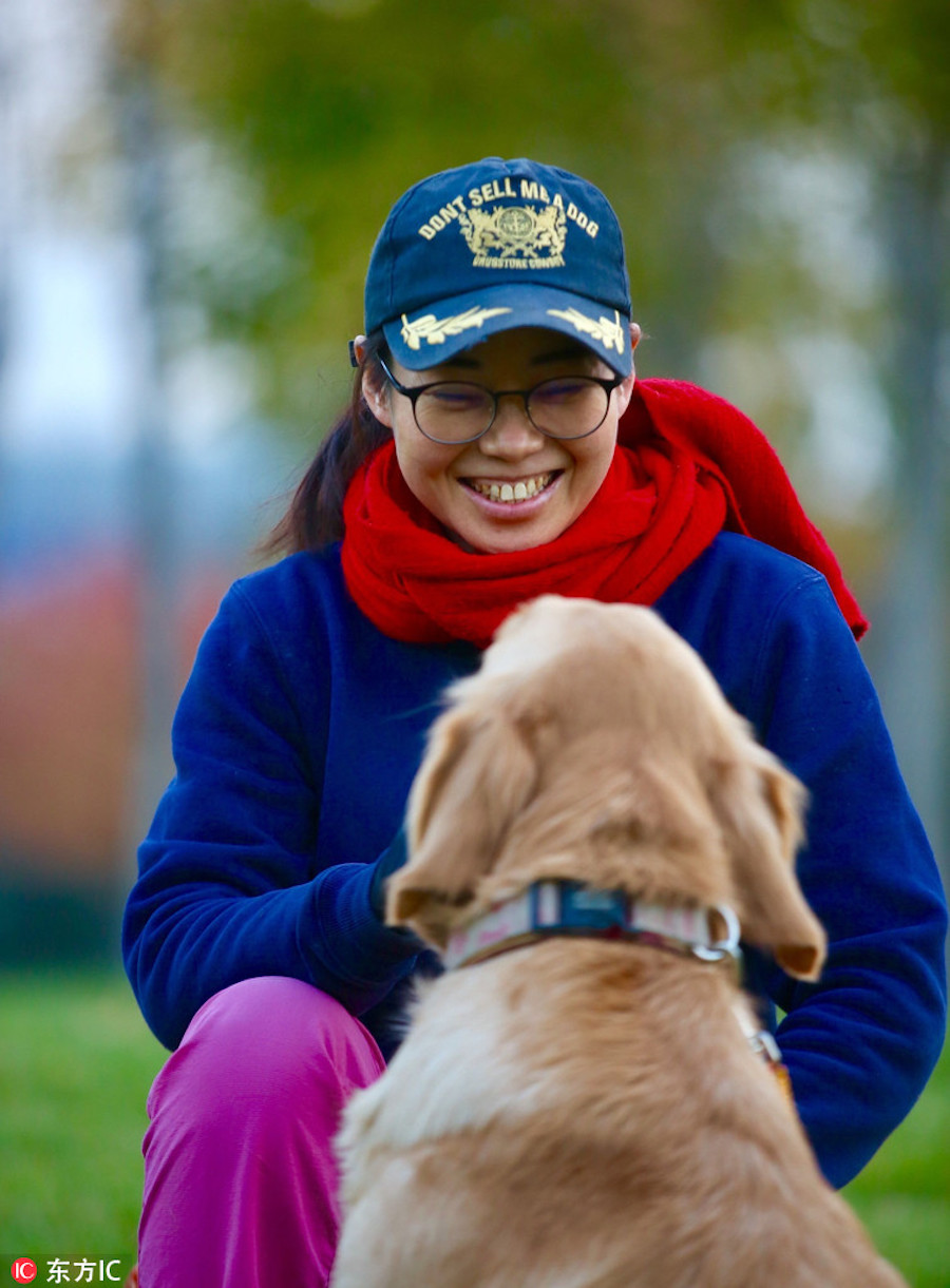 School for dogs helps them fit into society