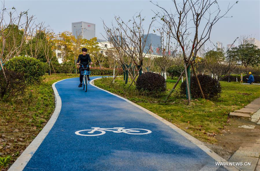 Blue roads offer people eco-friendly travel choice in E China