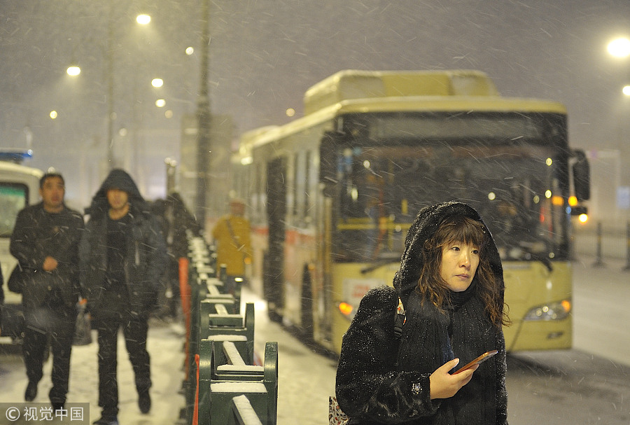 Snow turns Harbin into winter wonderland