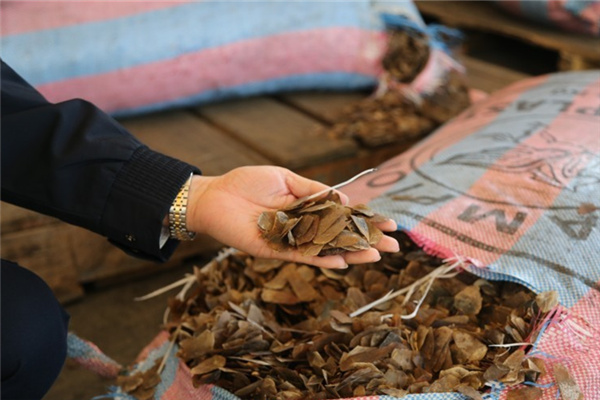 Customs seizes smuggled pangolin parts