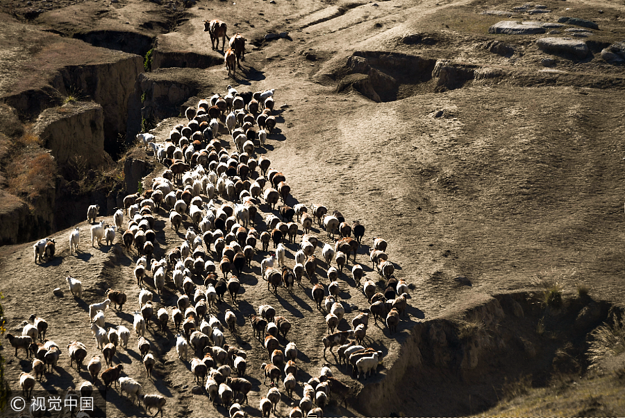 Ten photos from across China: Oct 6-12