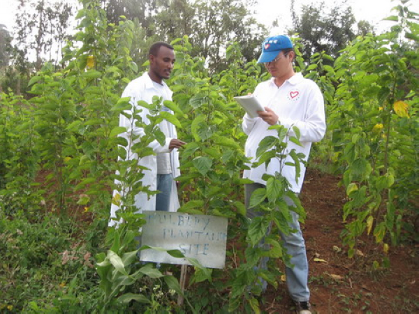 Youth exchanges between China and Africa