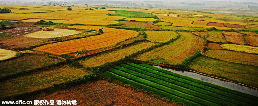 Discover beauty and delicacy of Jiangsu