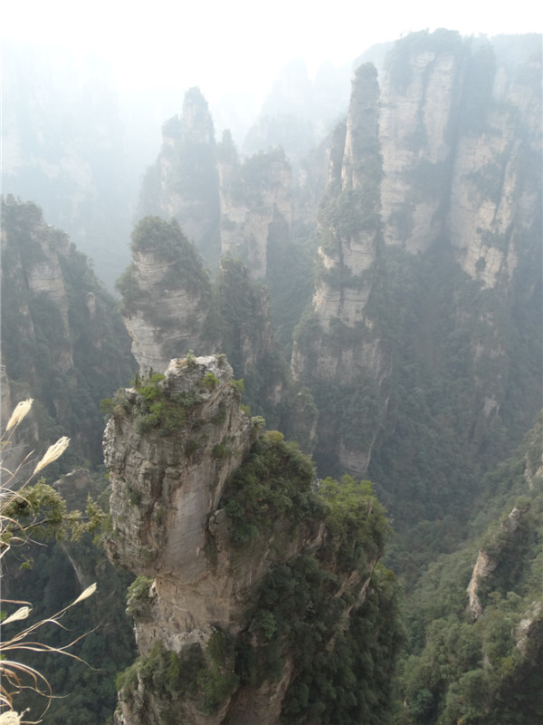 The wonders of Zhangjiajie