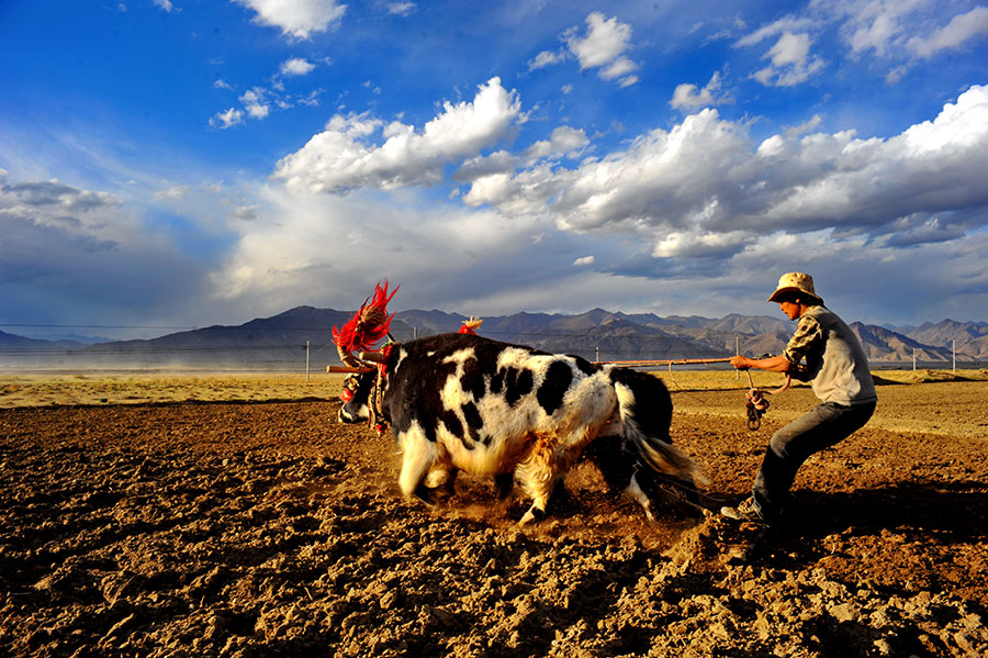 Once upon a time in Tibet