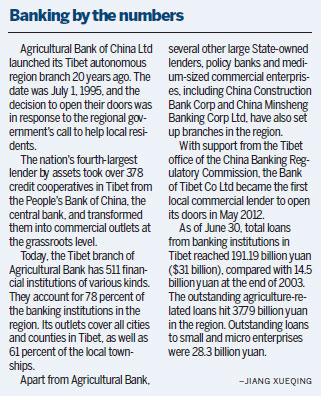 Loan scheme helps Tibet's small businesses grow