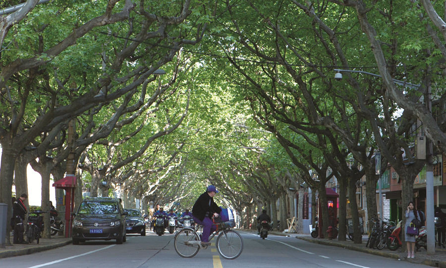 Shanghai, ses platanes, ses boulevards, sa mémoire…