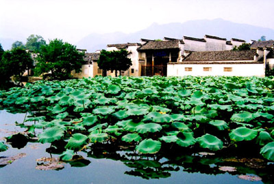 Pleasing and tranquil Hongcun Village