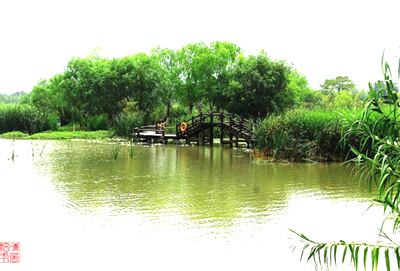 Xixi National Wetland Park