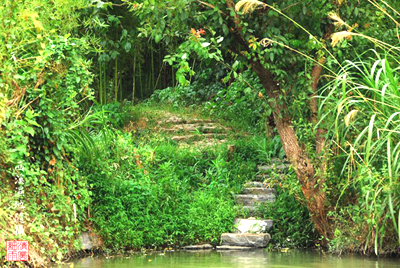 Xixi National Wetland Park