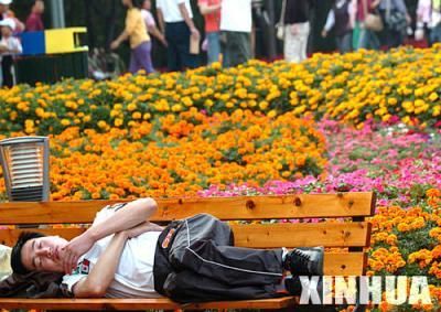 A man sleeps on a park bench