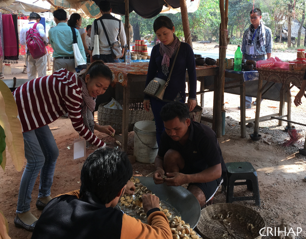 Workshop on the establishment of ICH safeguarding plan held in Cambodia