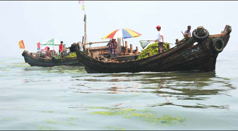 Algae bloom clearing as sailors train