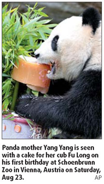 Atlanta panda cub put in incubator for monitoring