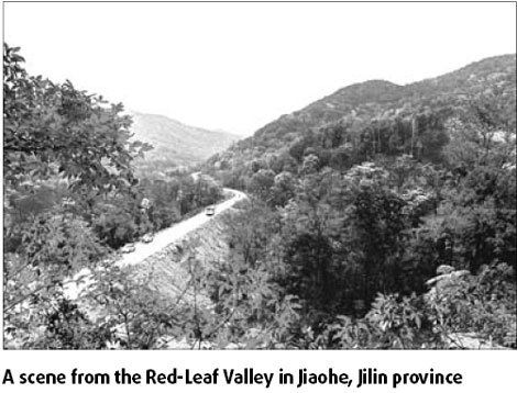 Special supplement: Red leaves back eco-tourism in Jiaohe