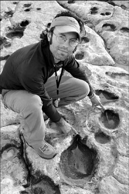 Geologists discover 'dinosaur dance floor'