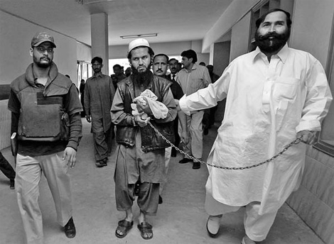 More top Taliban commanders arrested