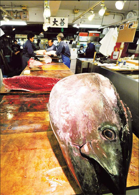 Japan firm selling 'sustainable' bluefin tuna in wake of crisis