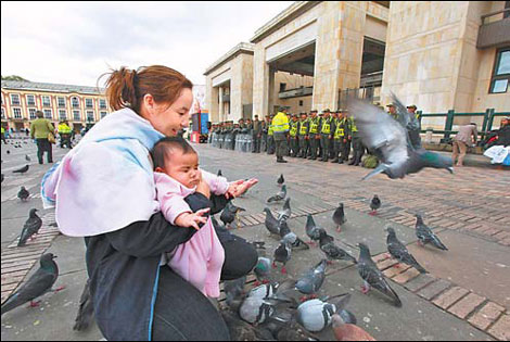 Study shows pigeons harbor harmful bugs