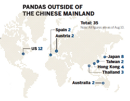 US-born panda groomed for greatness