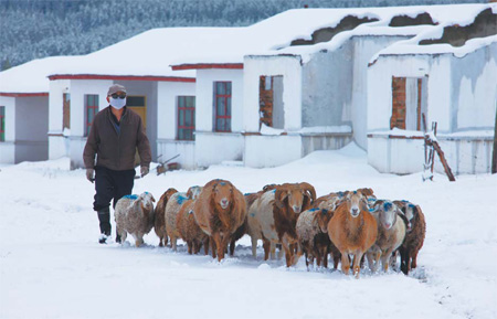 Research team airlifted out of snowy mountain