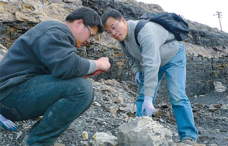 Forest of fossils faces threats from coal mines