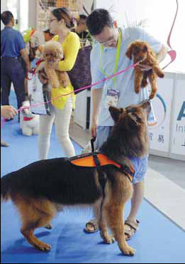 Animal lovers dote on furry families at fair