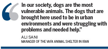 Iran's unwelcome dogs finally find proper care at rare shelter