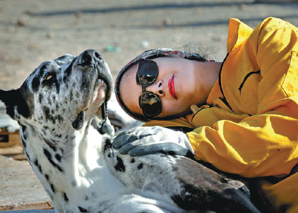 Iran's unwelcome dogs finally find proper care at rare shelter