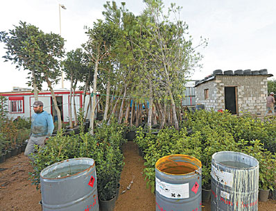 Garden blooms on Lebanon's former 'trash mountain'