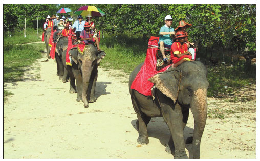 Thailand Special: Mainland tourists flocking to Thailand