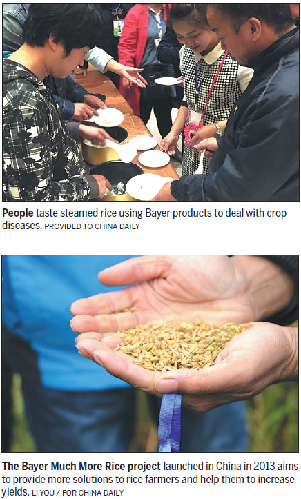 Bayer helps farmers to beat blight, boost yields