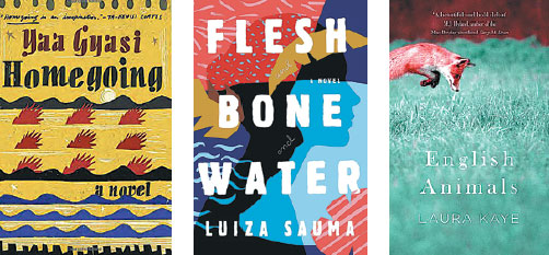 New year, new voices: Three debuts for your 2017 reading list