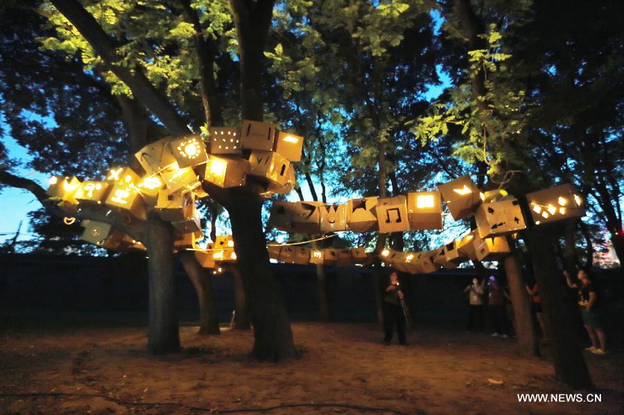 Light festival brightens life