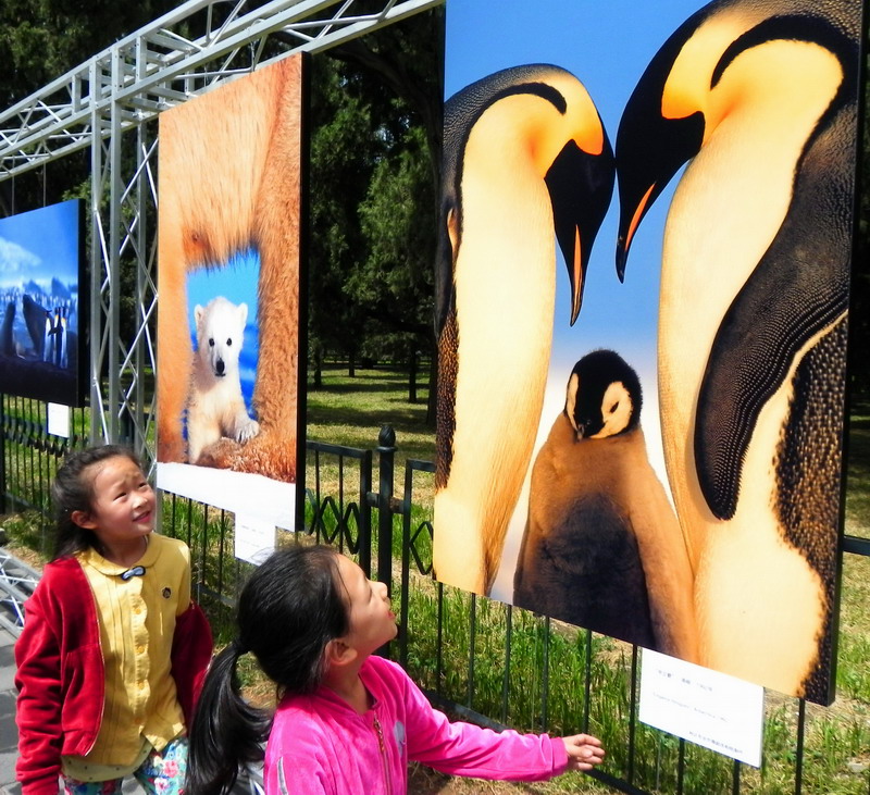 'Power of the Image' opens at Temple of Heaven