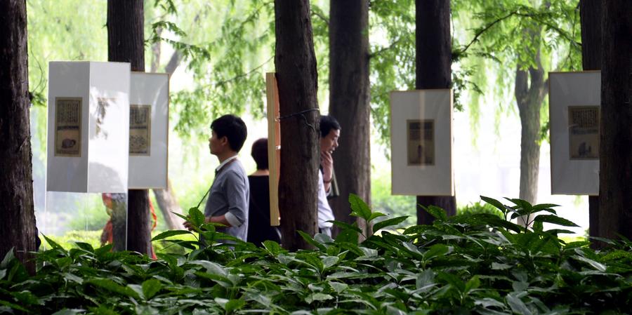 Outdoor exhibition shows latest from Zeng Mi