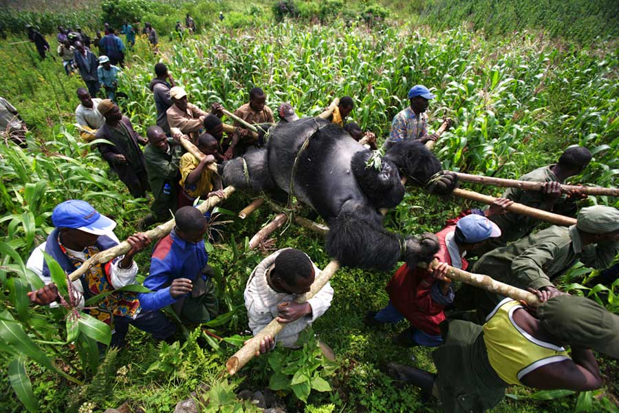 Exhibition of best press photography