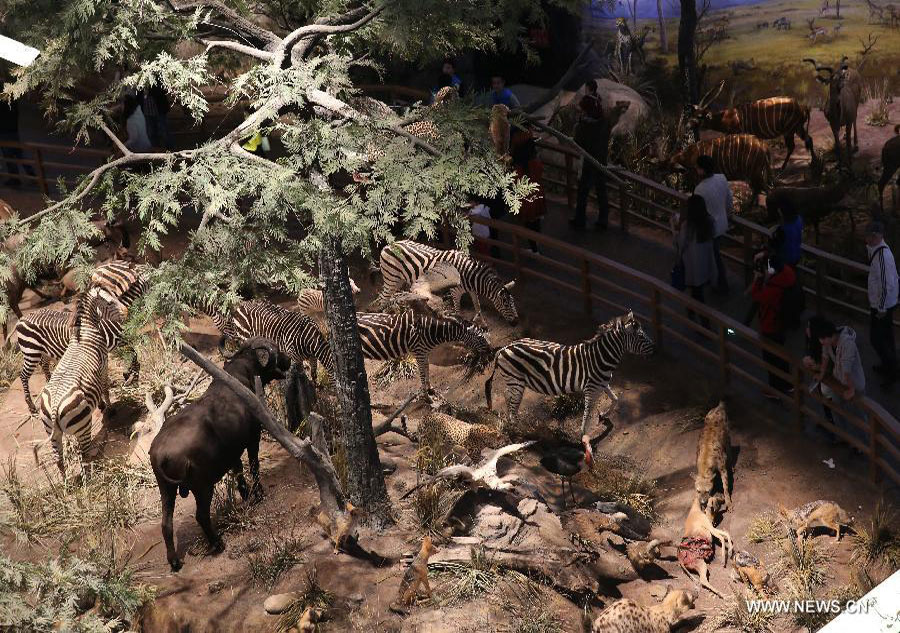 Natural History Museum opens in Shanghai