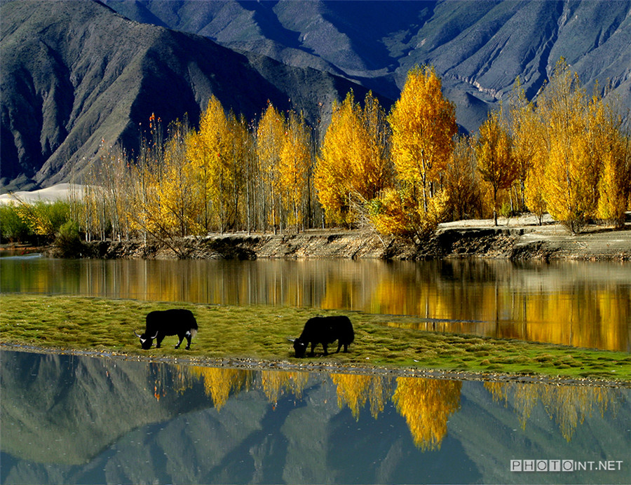 Beautiful images capture amazing Tibet