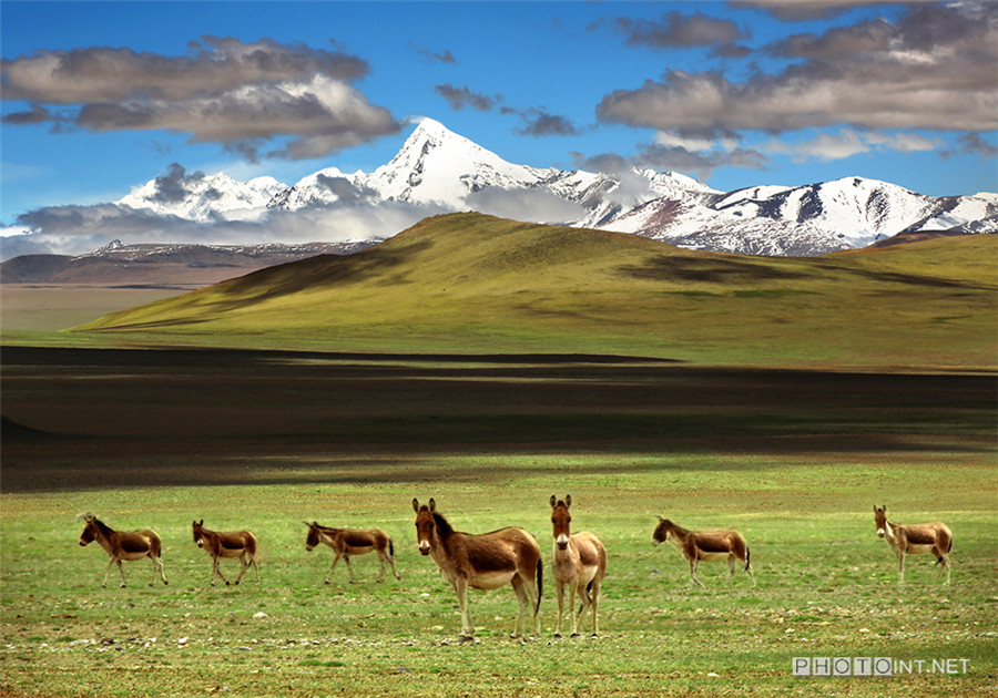 Beautiful images capture amazing Tibet