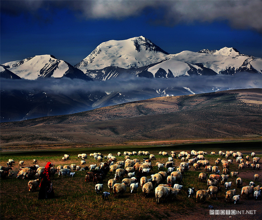 Beautiful images capture amazing Tibet