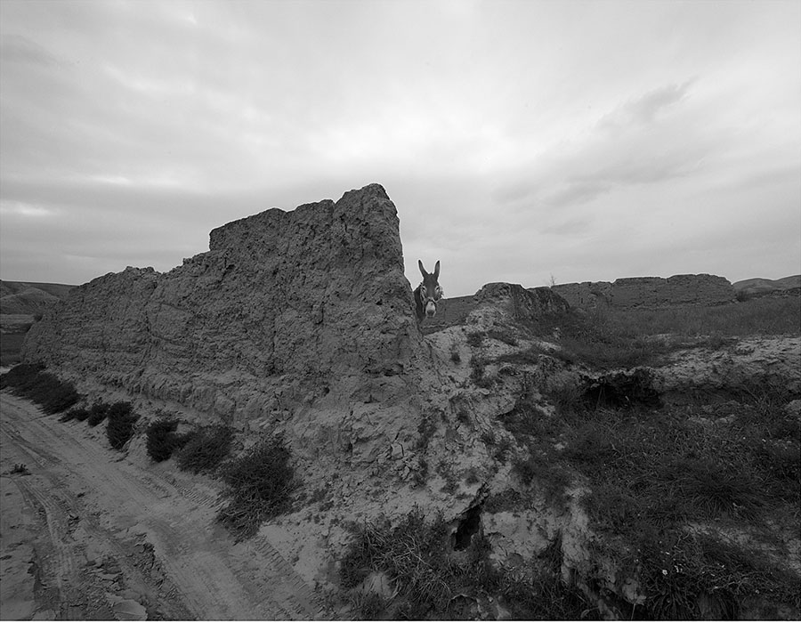 Photographer captures the beauty of Xihaigu