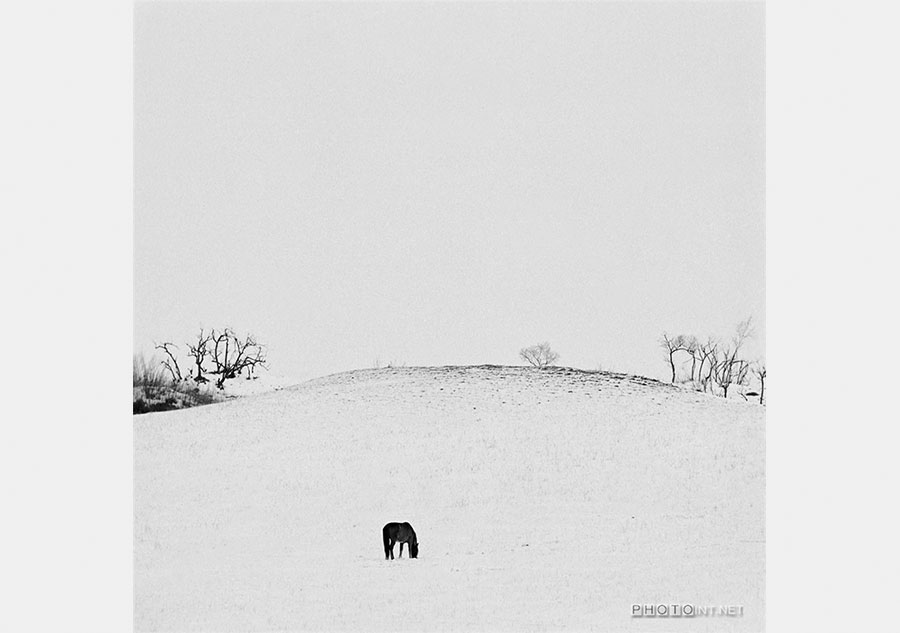 Amazing landscape of China in white and black