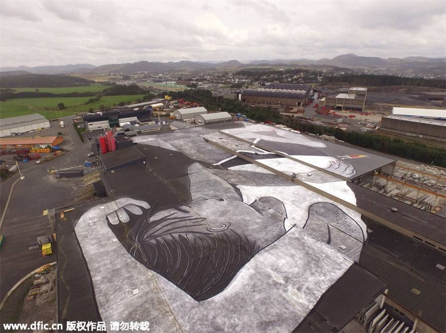 World's largest mural on a giant rooftop